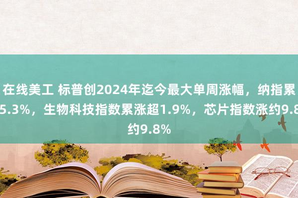 在线美工 标普创2024年迄今最大单周涨幅，纳指累涨5.3%，生物科技指数累涨超1.9%，芯片指数涨约9.8%