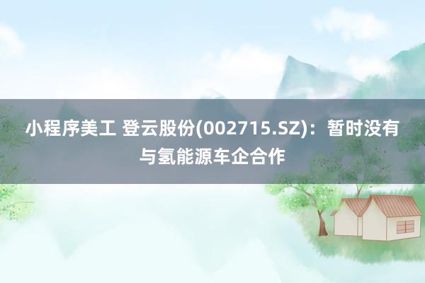 小程序美工 登云股份(002715.SZ)：暂时没有与氢能源车企合作